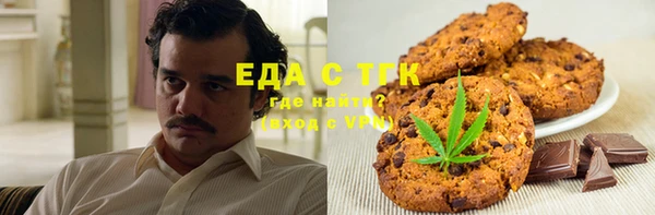 СК Алексин