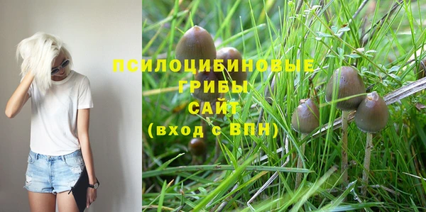 молекула духа Алзамай