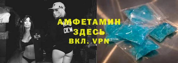 СК Алексин