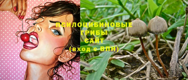 молекула духа Алзамай