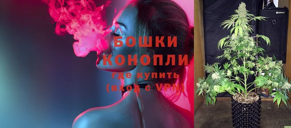 шишки Няндома