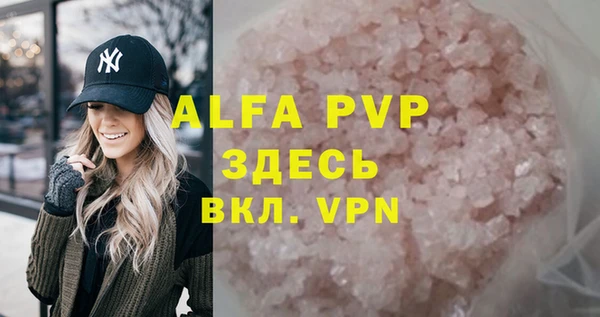 СК Алексин