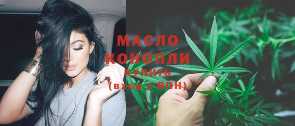 СК Алексин