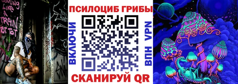 купить наркотики сайты  Муравленко  Псилоцибиновые грибы Psilocybine cubensis 